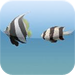 Keeping Fish - An Aquarium Primer for Keeping Fresh and Saltwater Fish
